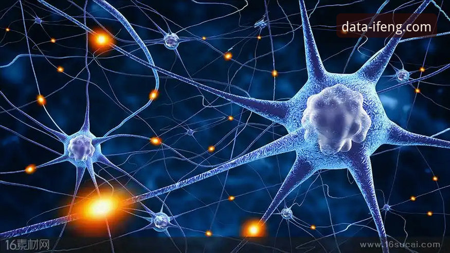 凤凰体育会员背后的真相：一个技术评测员的深度数据解析